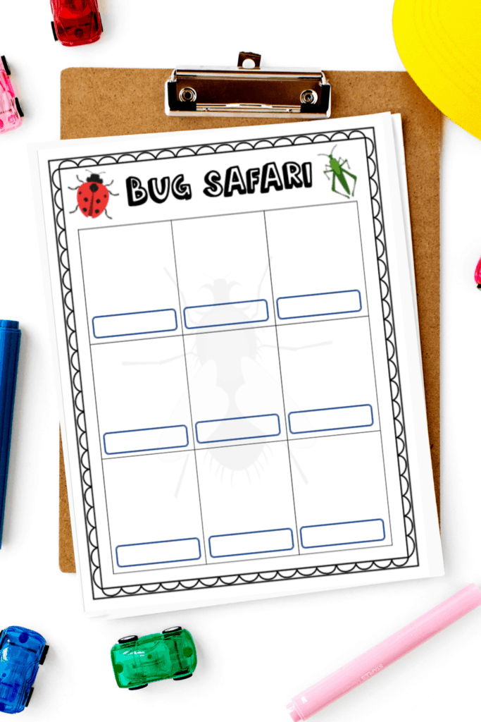 Bug Safari recording worksheet for ideas for summer bucket list