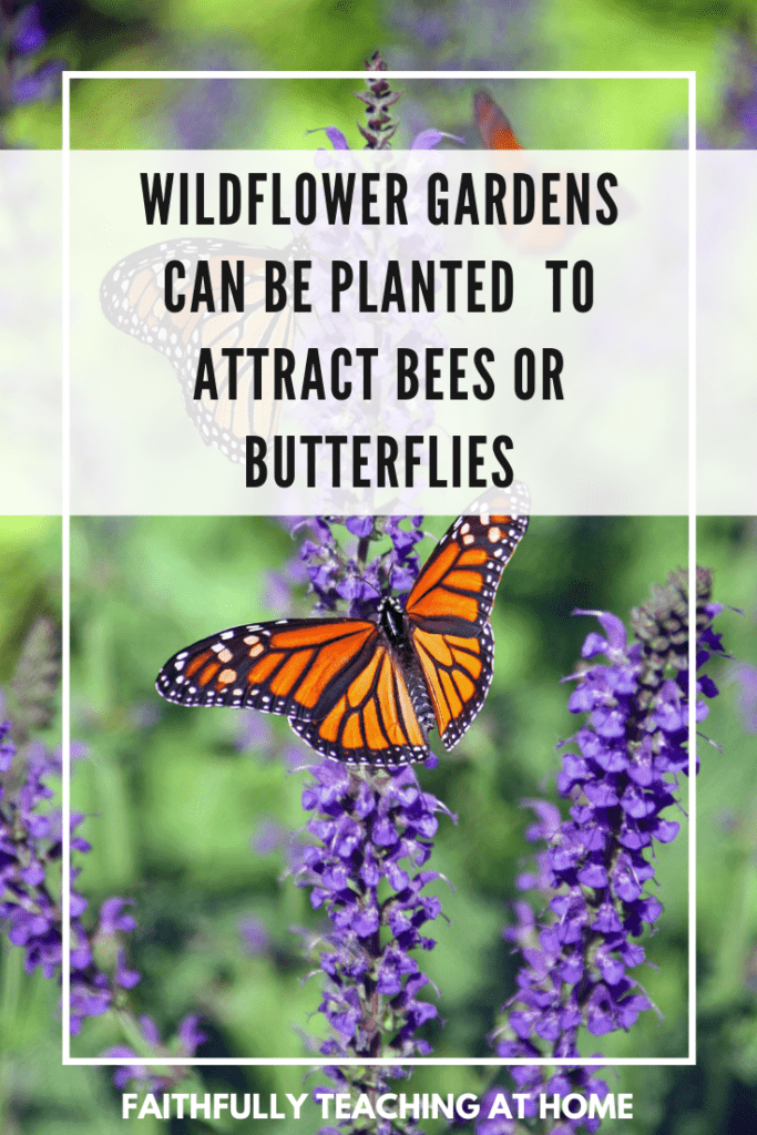 Kids summer bucket list idea:  Wildflower garden will attract pretty butterflies with picture of a Monarch butterfly landing on purple flowers